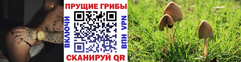 Псилоцибиновые грибы мицелий  Новая Ляля 